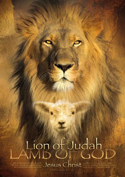 lion